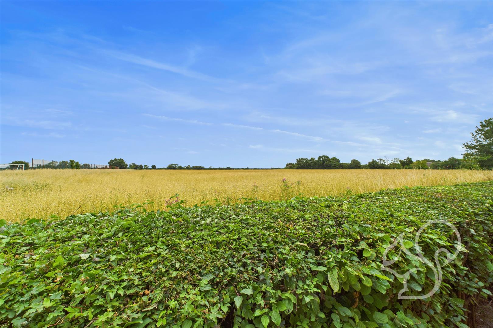 Field Views